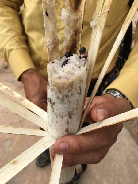 旅で見つけた美味しいもの カンボジア 餅米のお菓子 クローラン タビーズの旅 Tabi Z